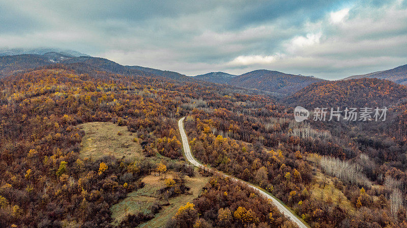 Crni Vrh - Flying over the empty autumn road with the bright trees in the green, orange and red tones - Top view of the bright autumn colors of the forest in eastern Serbia - 4K drone shot